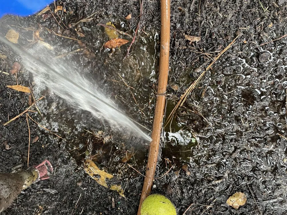 Affordable landscaping services in Wilmington, NC - Port City Irrigation