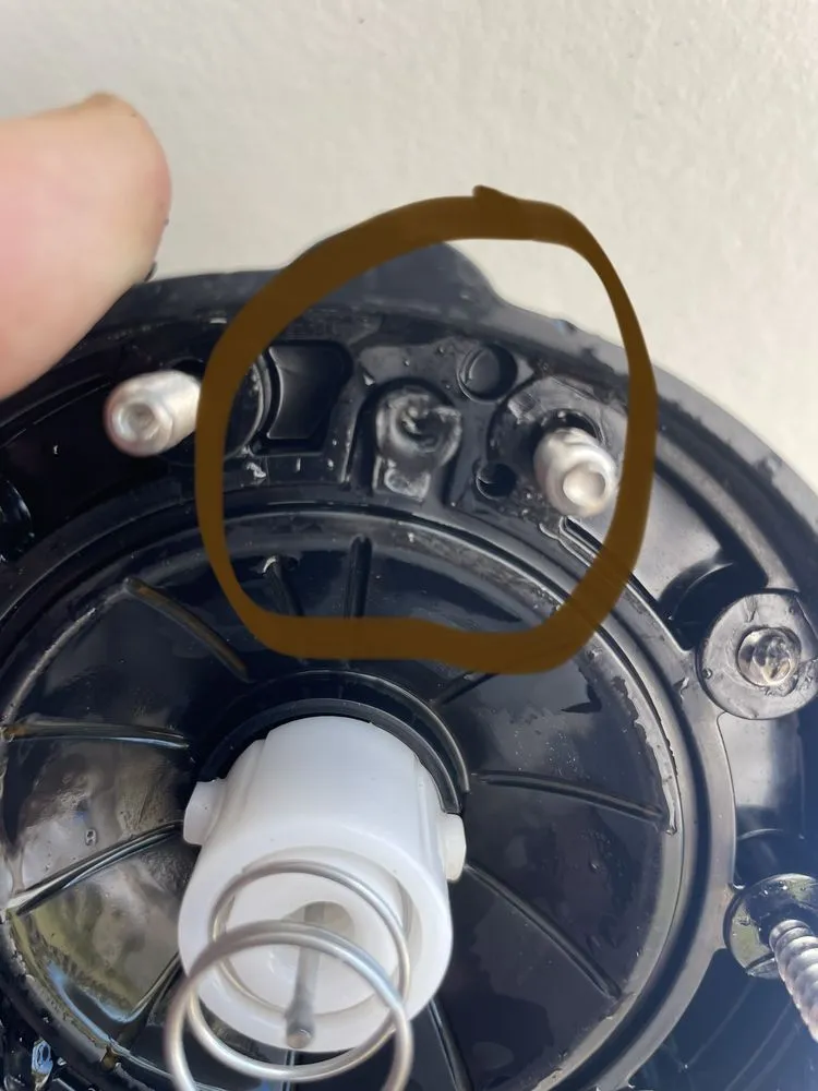 Top-rated outdoor landscaping in Wilmington, NC by Port City Irrigation