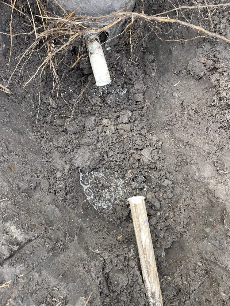 Reliable landscaping services experts serving Wilmington, NC - Port City Irrigation