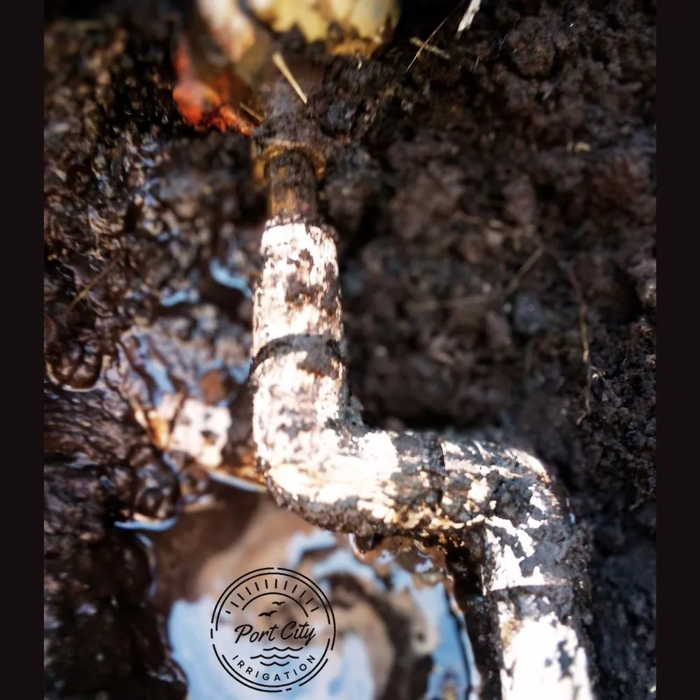 Affordable landscape design with custom design in Wilmington, NC by Port City Irrigation