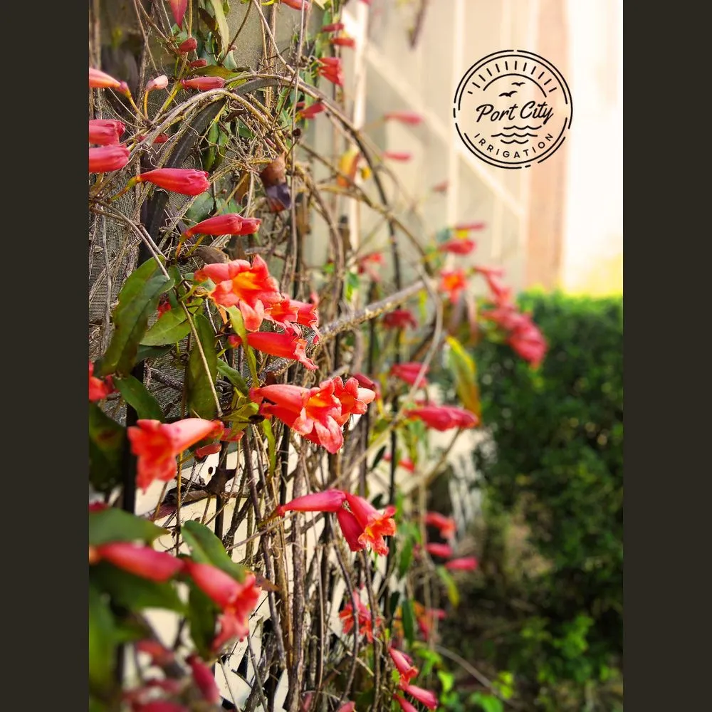 Local lawn mowing service in Wilmington, NC by Port City Irrigation