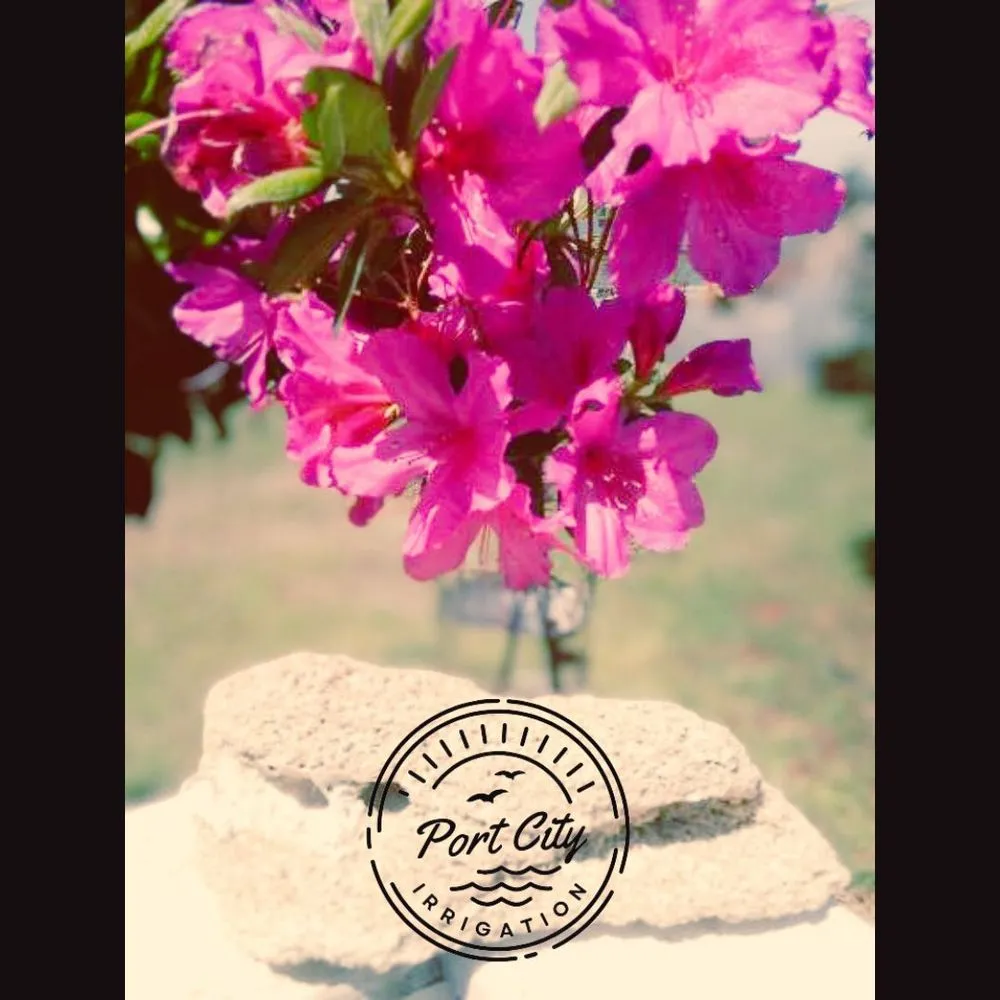 Expert outdoor landscaping in Wilmington, NC by Port City Irrigation