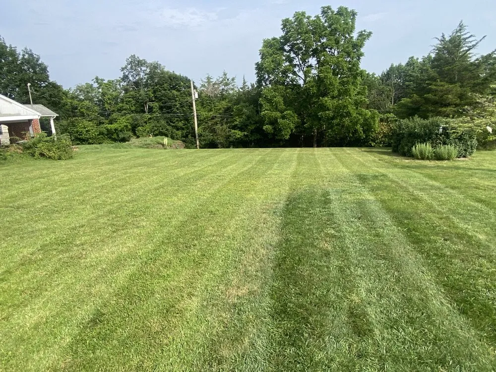 Local yard cleanup service in Walterboro, SC - Port City Landscaping