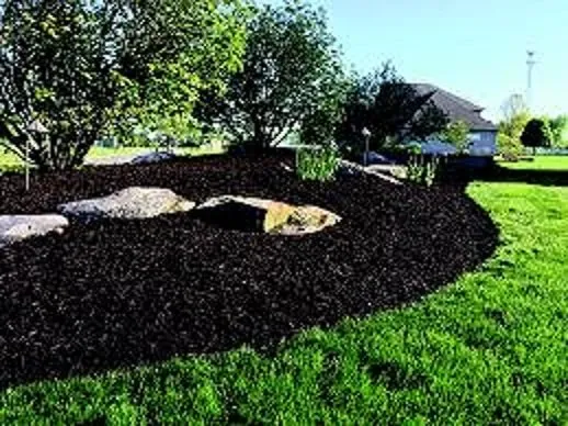 Custom yard maintenance experts serving Daytona Beach, FL - Port Orange Landscaping