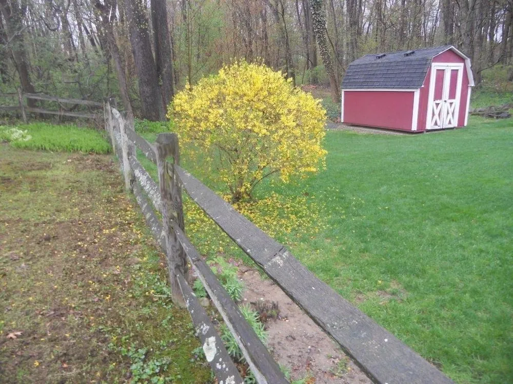 Professional landscape design experts serving Ravenna, OH - Portage Turf Specialists