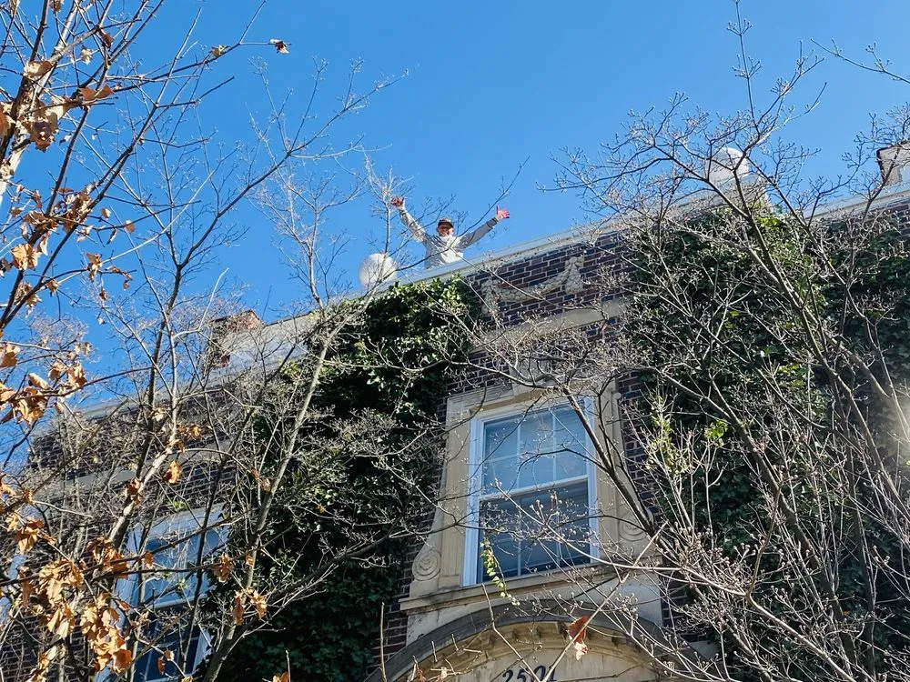 Reliable landscape design in Takoma Park, MD by Portelas Lawn Services