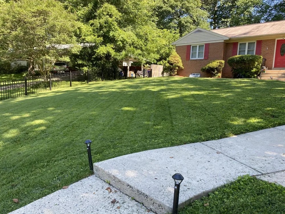 Reliable landscaping services experts serving Takoma Park, MD - Portelas Lawn Services