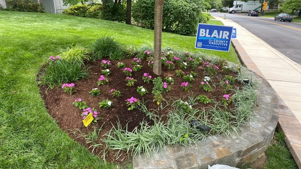 Trusted lawn mowing service in Takoma Park, MD by Portelas Lawn Services