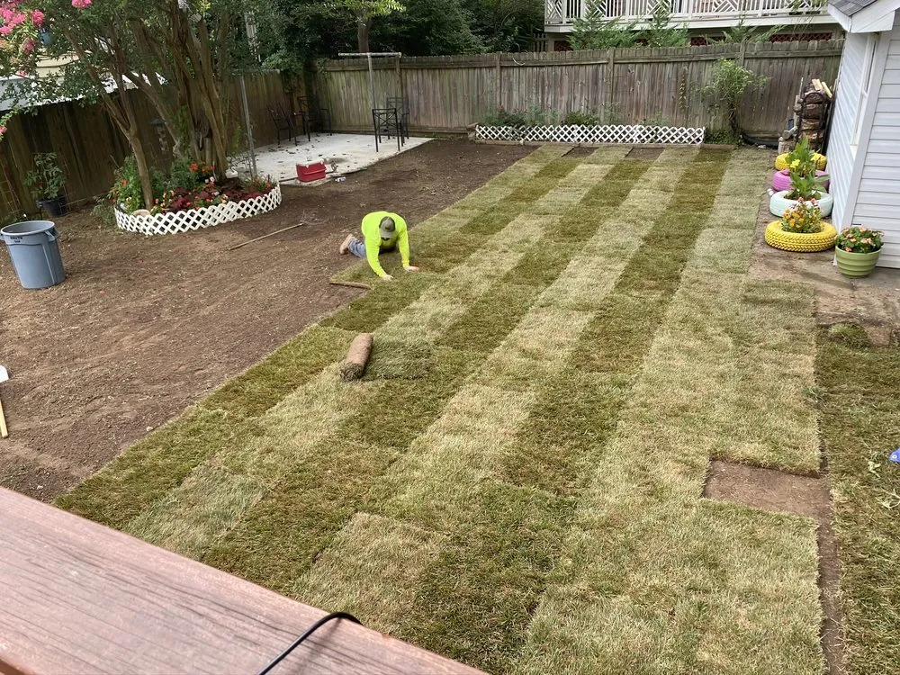 Trusted yard cleanup service experts serving Takoma Park, MD - Portelas Lawn Services