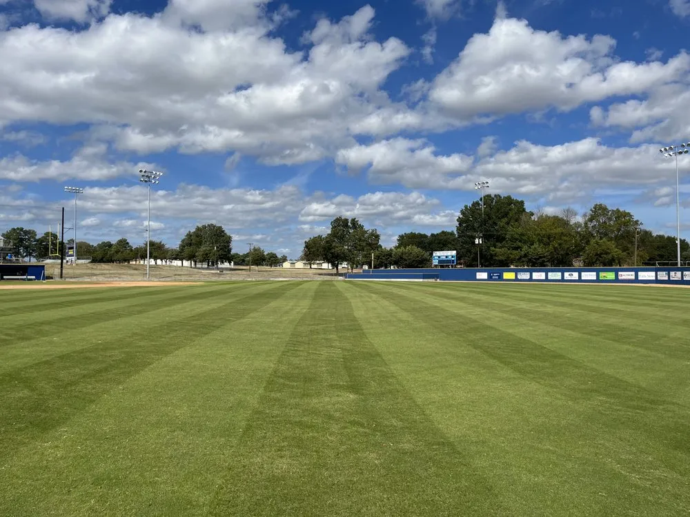 Custom landscaping services for year-round maintenance across Paris, TX - Porter Lawn Maintenance