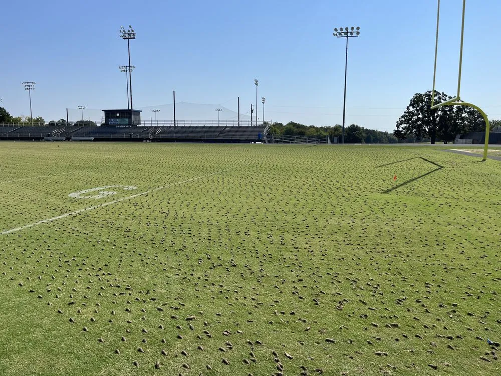 Local residential landscaping in Paris, TX by Porter Lawn Maintenance