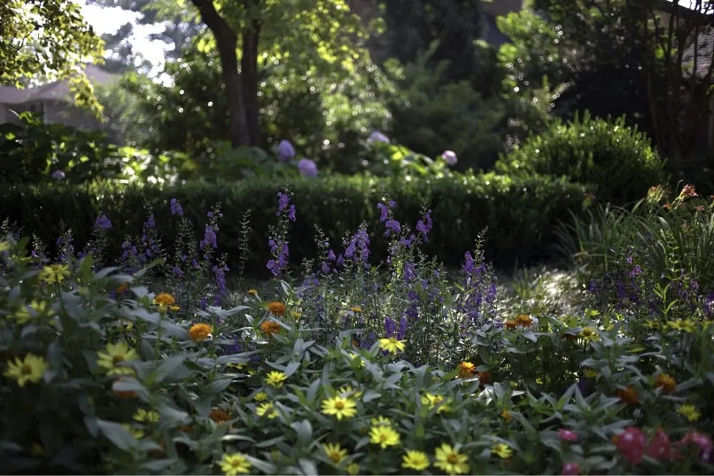 Custom yard maintenance in Birmingham, AL - Portera Landscape Design
