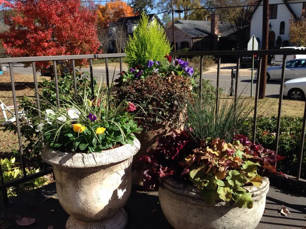 Expert lawn mowing service for year-round maintenance in Birmingham, AL by Portera Landscape Design