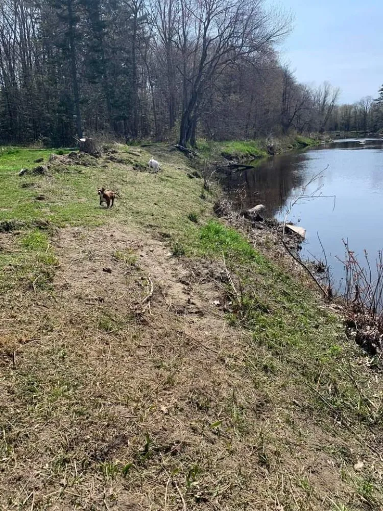 Local landscape design in Dedham, ME - Porter's landscaping