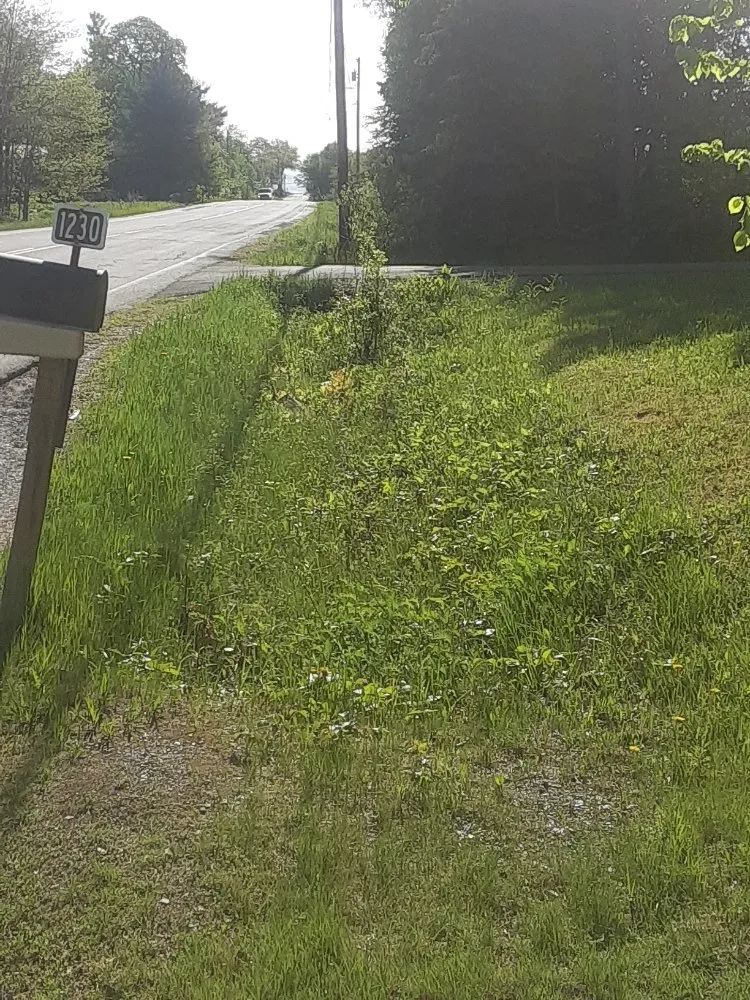 Expert yard cleanup service with custom design across Dedham, ME - Porter's landscaping