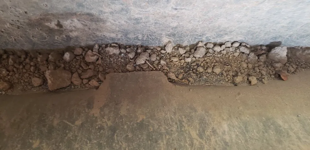 Reliable landscape design in Porterville, CA - Porterville Lawncare & Handyman Services