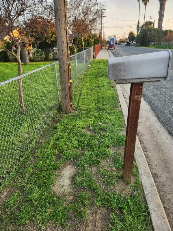 Top-rated landscape design for homes across Porterville, CA - Porterville Lawncare & Handyman Services