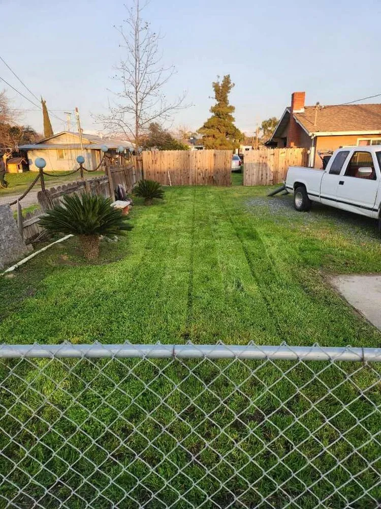 Reliable yard maintenance in Porterville, CA by Porterville Lawncare & Handyman Services