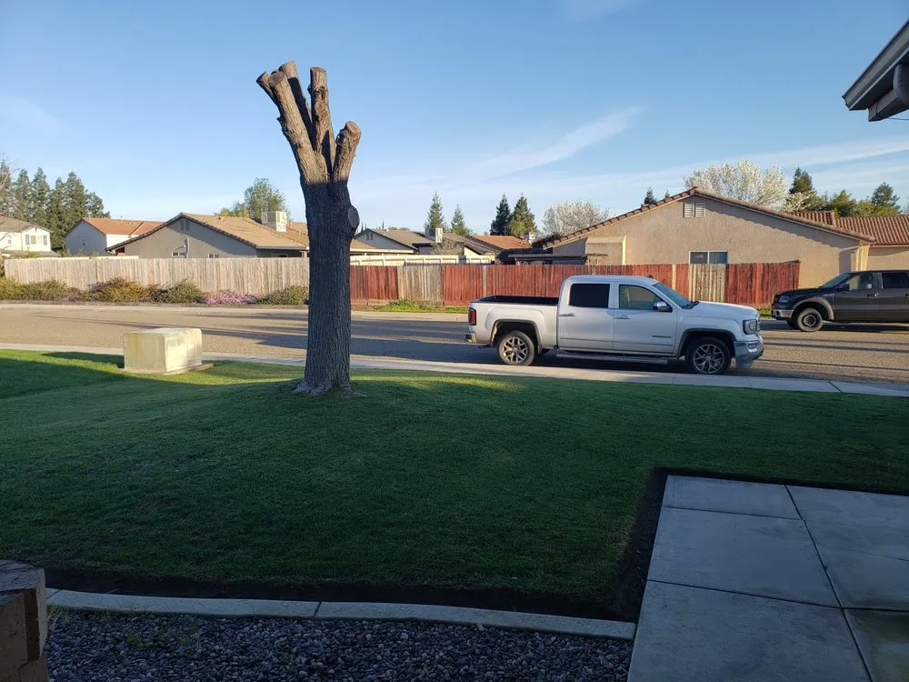 Affordable yard cleanup service experts serving Porterville, CA - Porterville Lawncare & Handyman Services