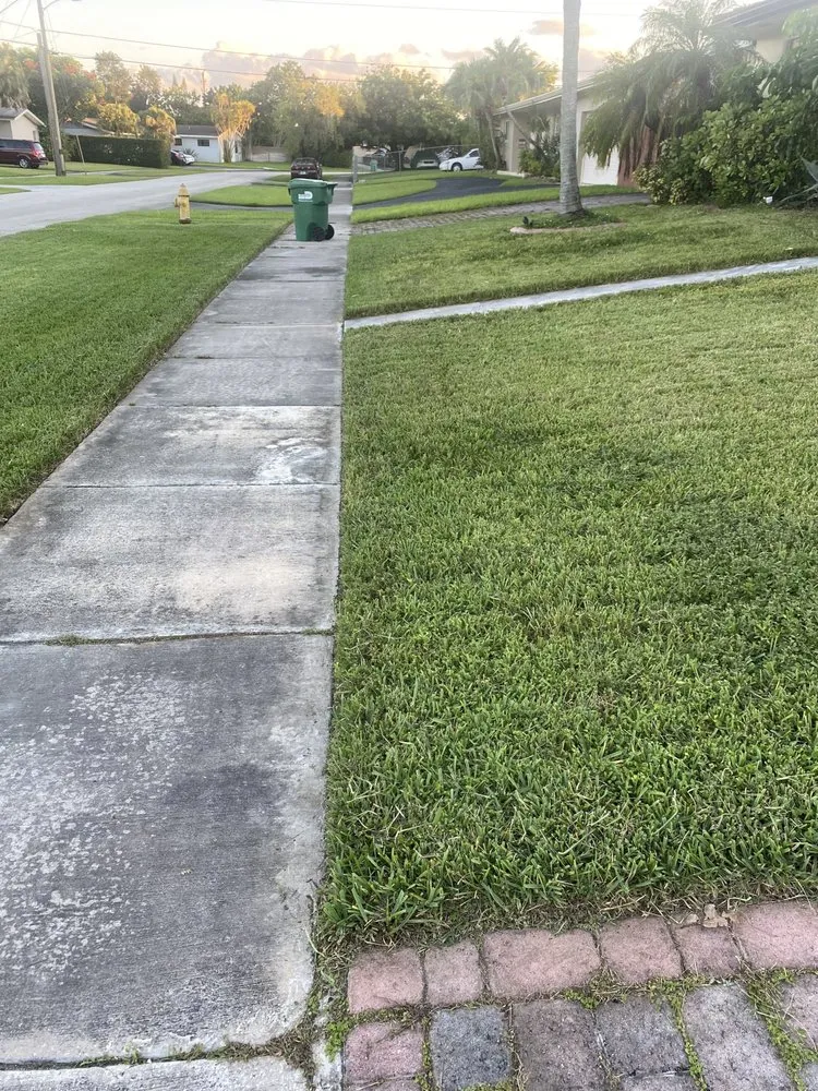 Custom outdoor landscaping experts serving Port St. Lucie, FL - Portes & Sons