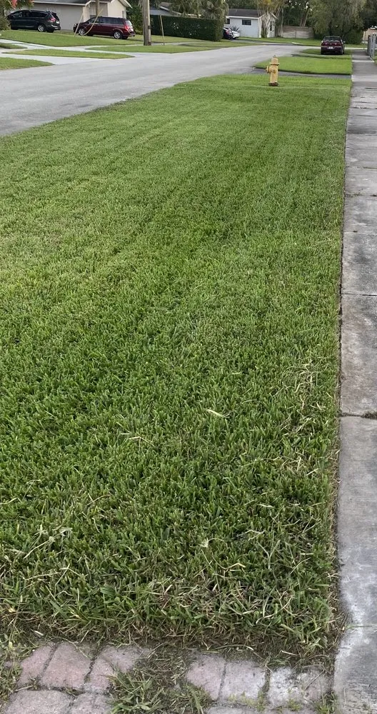 Local landscape design near you across Port St. Lucie, FL - Portes & Sons