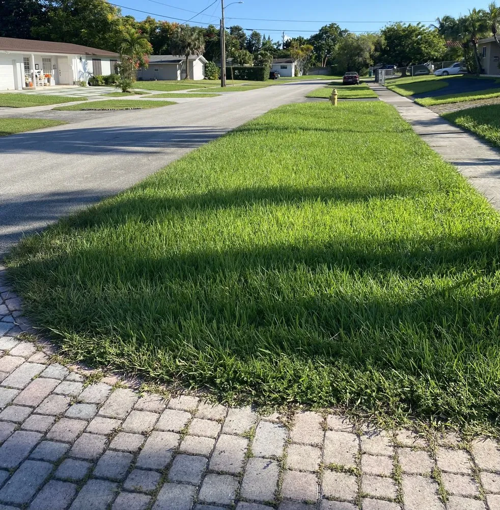 Trusted residential landscaping experts serving Port St. Lucie, FL - Portes & Sons