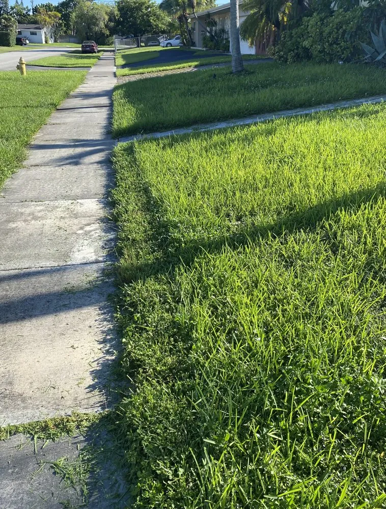 Expert yard maintenance in Port St. Lucie, FL - Portes & Sons