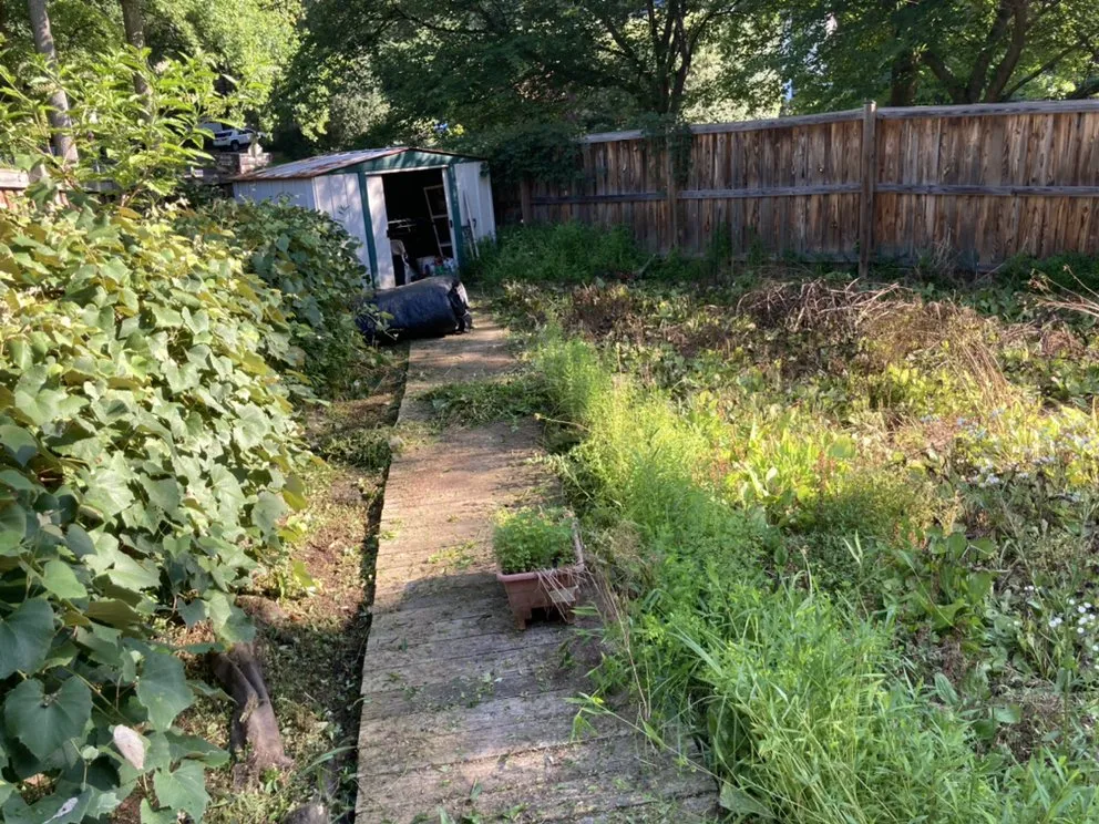 Reliable lawn care service experts serving Woodbridge, VA - Portillo Garden LLC