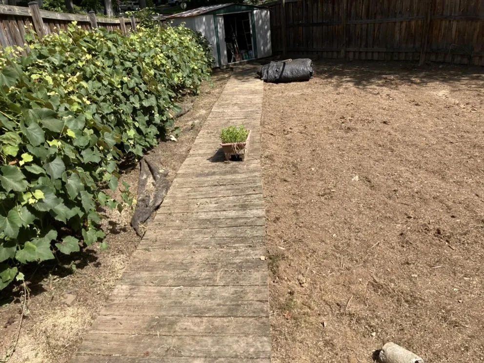 Custom lawn care service in Woodbridge, VA - Portillo Garden LLC