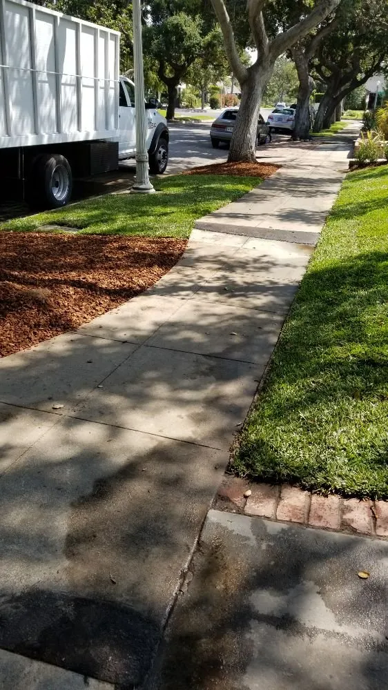 Expert landscape design in Altadena, CA - Portillo Garden Services
