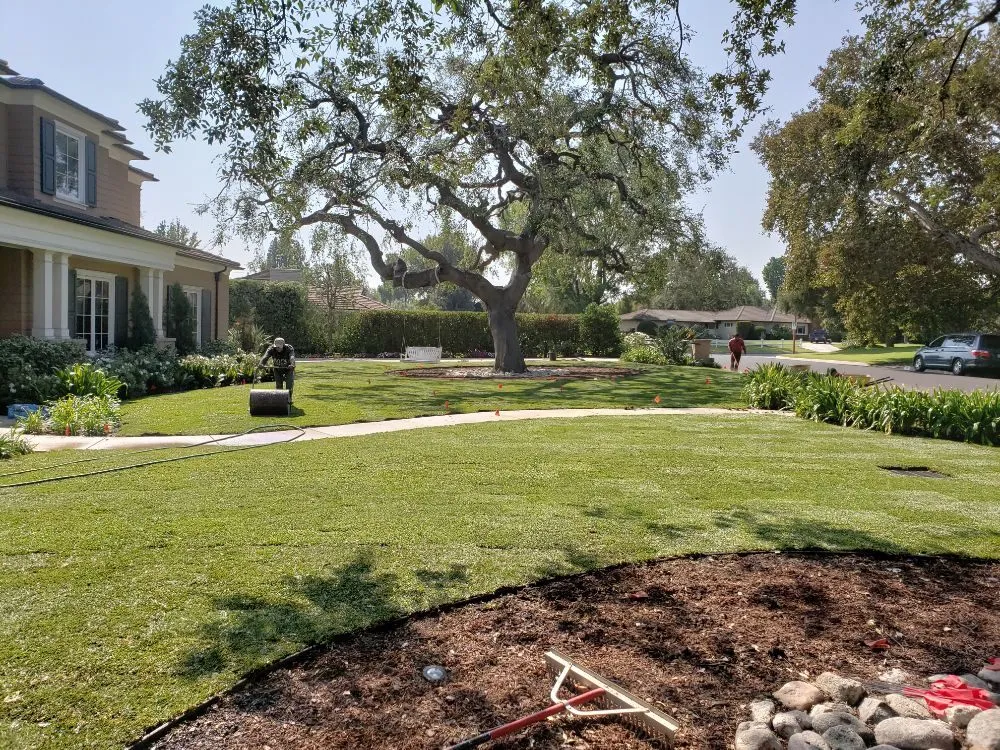 Reliable yard maintenance in Altadena, CA by Portillo Garden Services