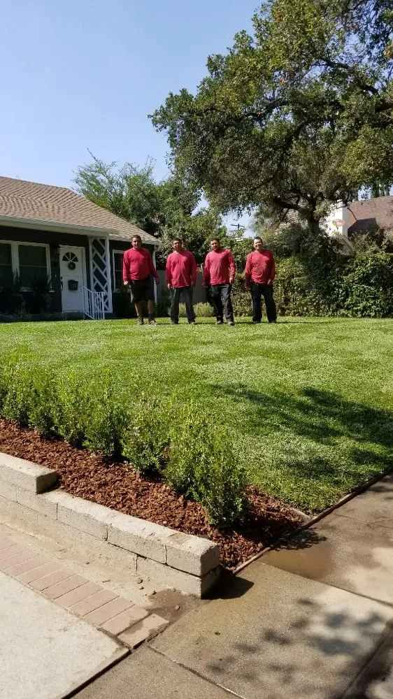 Trusted residential landscaping for year-round maintenance in Altadena, CA by Portillo Garden Services