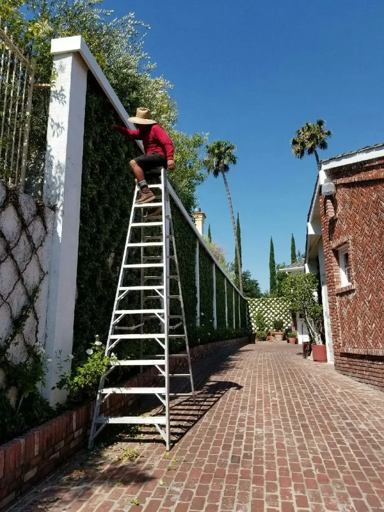 Custom yard cleanup service in Altadena, CA - Portillo Garden Services