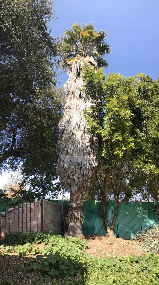 Custom garden landscaping for homes across Altadena, CA - Portillo Garden Services