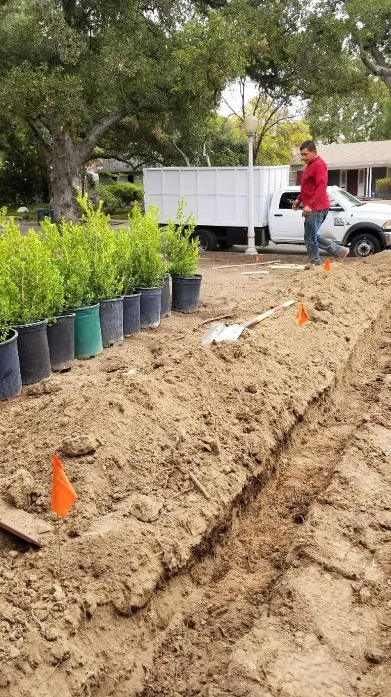 Reliable landscaping services in Altadena, CA - Portillo Garden Services