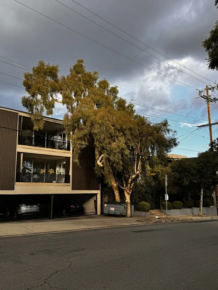 Reliable lawn mowing service in Altadena, CA - Portillo Garden Services