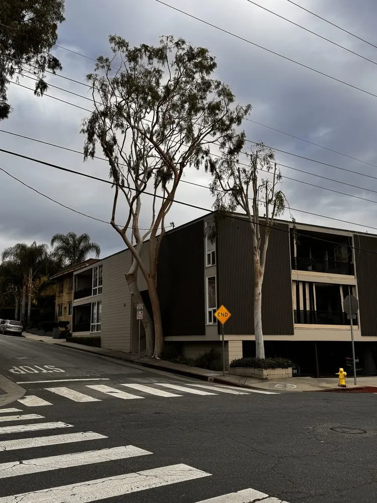 Professional landscape design in Altadena, CA - Portillo Garden Services