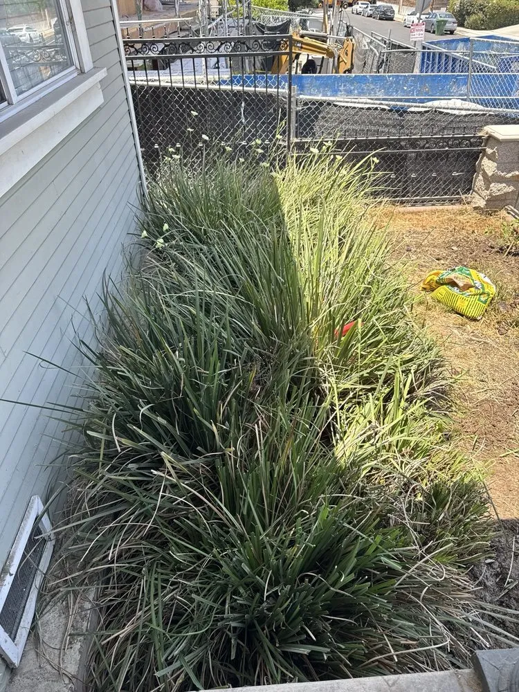 Affordable residential landscaping in Altadena, CA - Portillo Garden Services