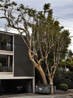 Portillo Garden Services