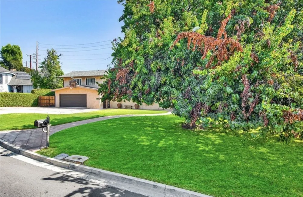 Affordable yard cleanup service experts serving Brea, CA - Portillo Gardening, Tree Service, Landscaping