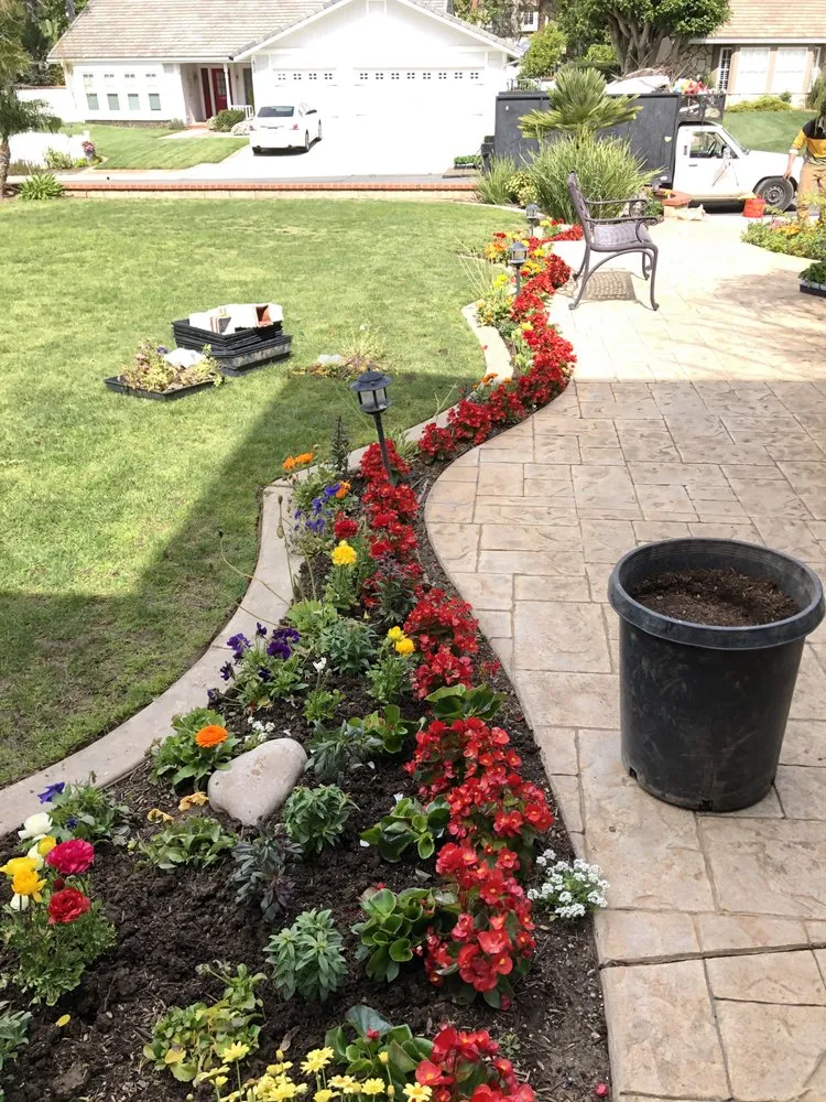 Custom landscape installation for homes in Brea, CA by Portillo Gardening, Tree Service, Landscaping
