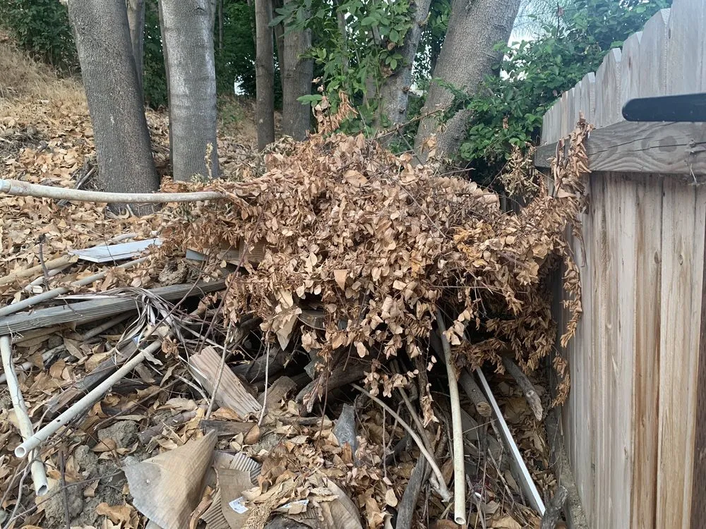 Custom outdoor landscaping experts serving Brea, CA - Portillo Gardening, Tree Service, Landscaping