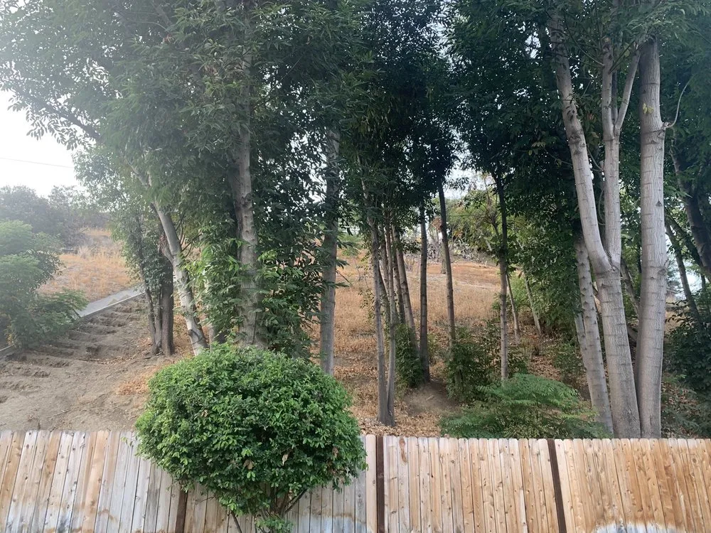 Reliable lawn mowing service near you in Brea, CA by Portillo Gardening, Tree Service, Landscaping