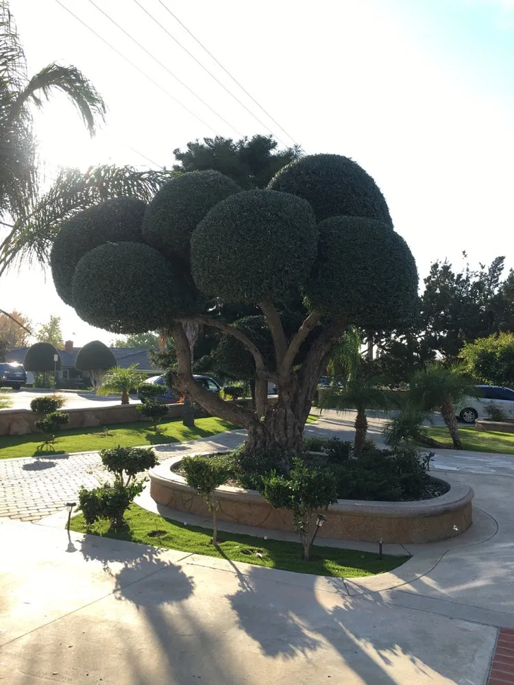 Top-rated landscape design in Brea, CA - Portillo Gardening, Tree Service, Landscaping