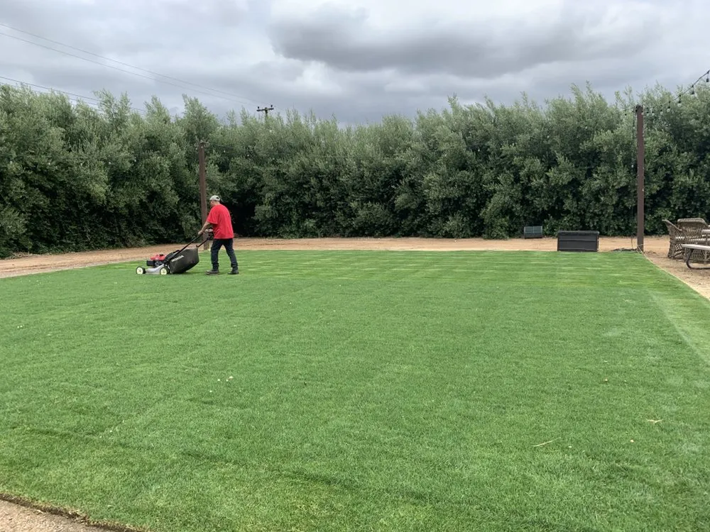 Affordable residential landscaping in Brea, CA - Portillo Gardening, Tree Service, Landscaping