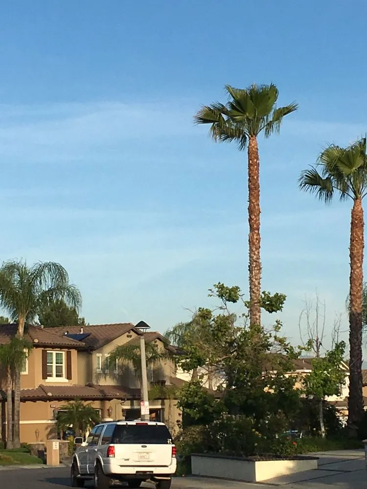 Top-rated residential landscaping in Brea, CA by Portillo Gardening, Tree Service, Landscaping