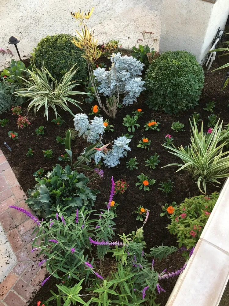 Reliable landscape design for residential properties across Brea, CA - Portillo Gardening, Tree Service, Landscaping