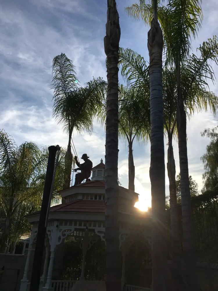 Trusted landscaping services in Brea, CA - Portillo Gardening, Tree Service, Landscaping