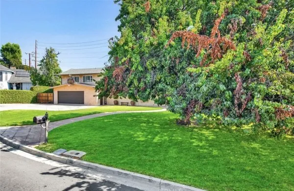 Portillo Gardening, Tree Service, Landscaping