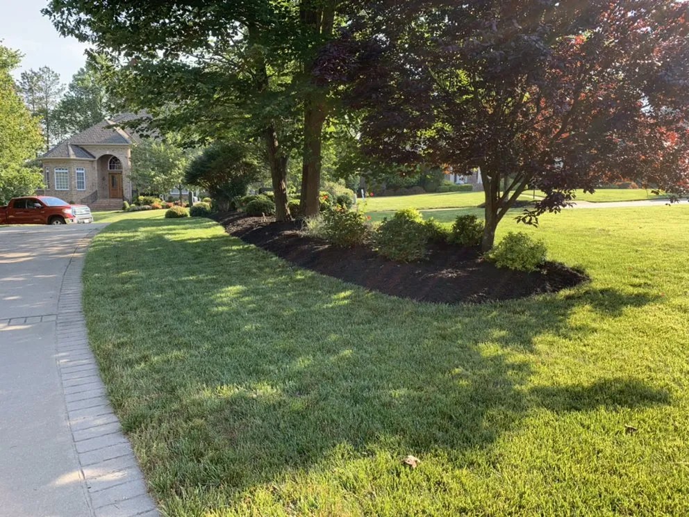 Trusted outdoor landscaping for beautiful yards in Richmond, VA by Portillo Landcare